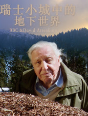 瑞士小城中的地下世界(全集)