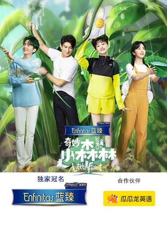 奇妙小森林(全集)