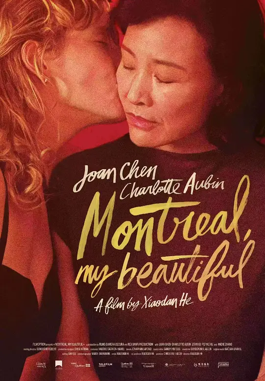 蒙特利尔，我的美人